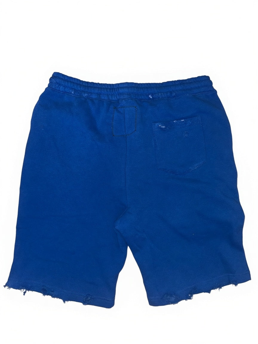 Distressed Shorts